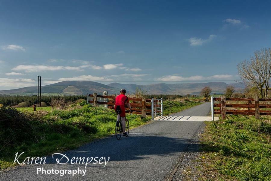 Accommodation @ 32 Dungarvan  Bagian luar foto